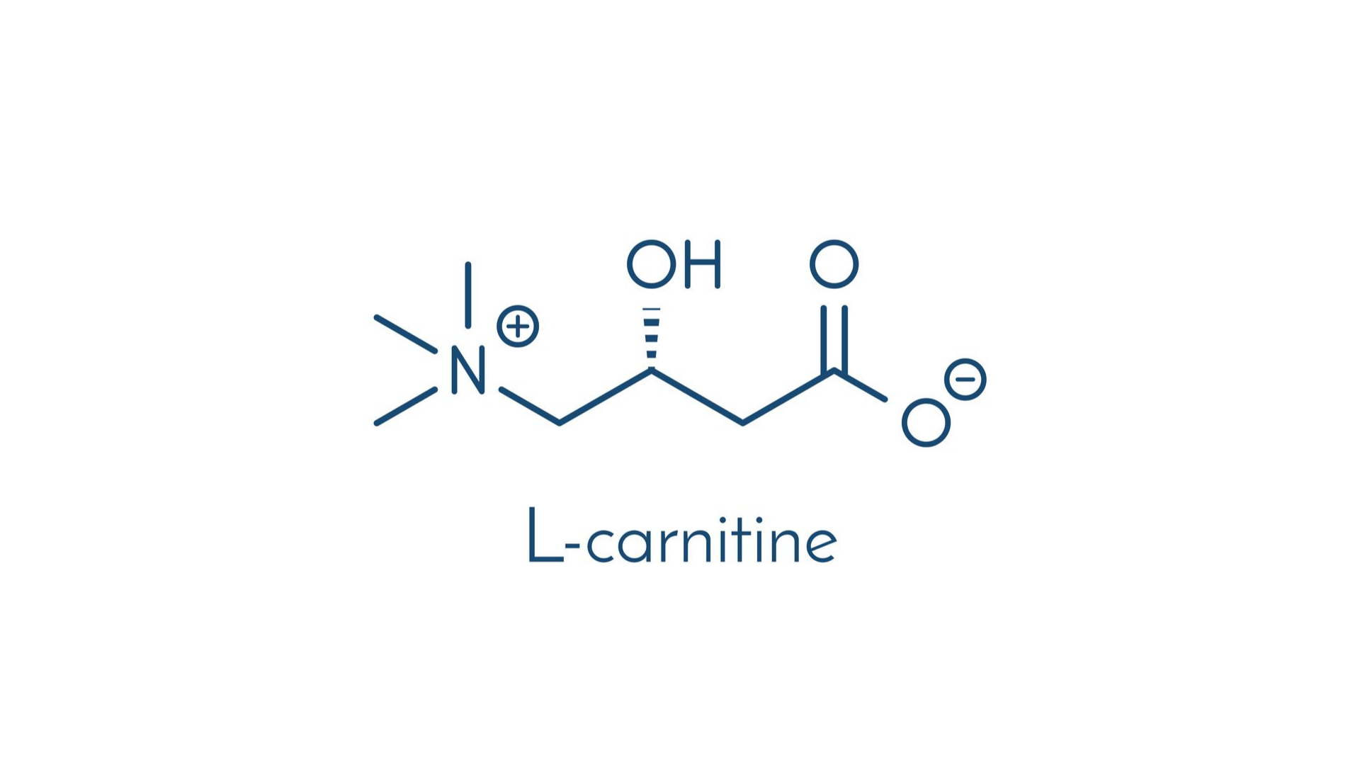 L-carnitina: formula chimica